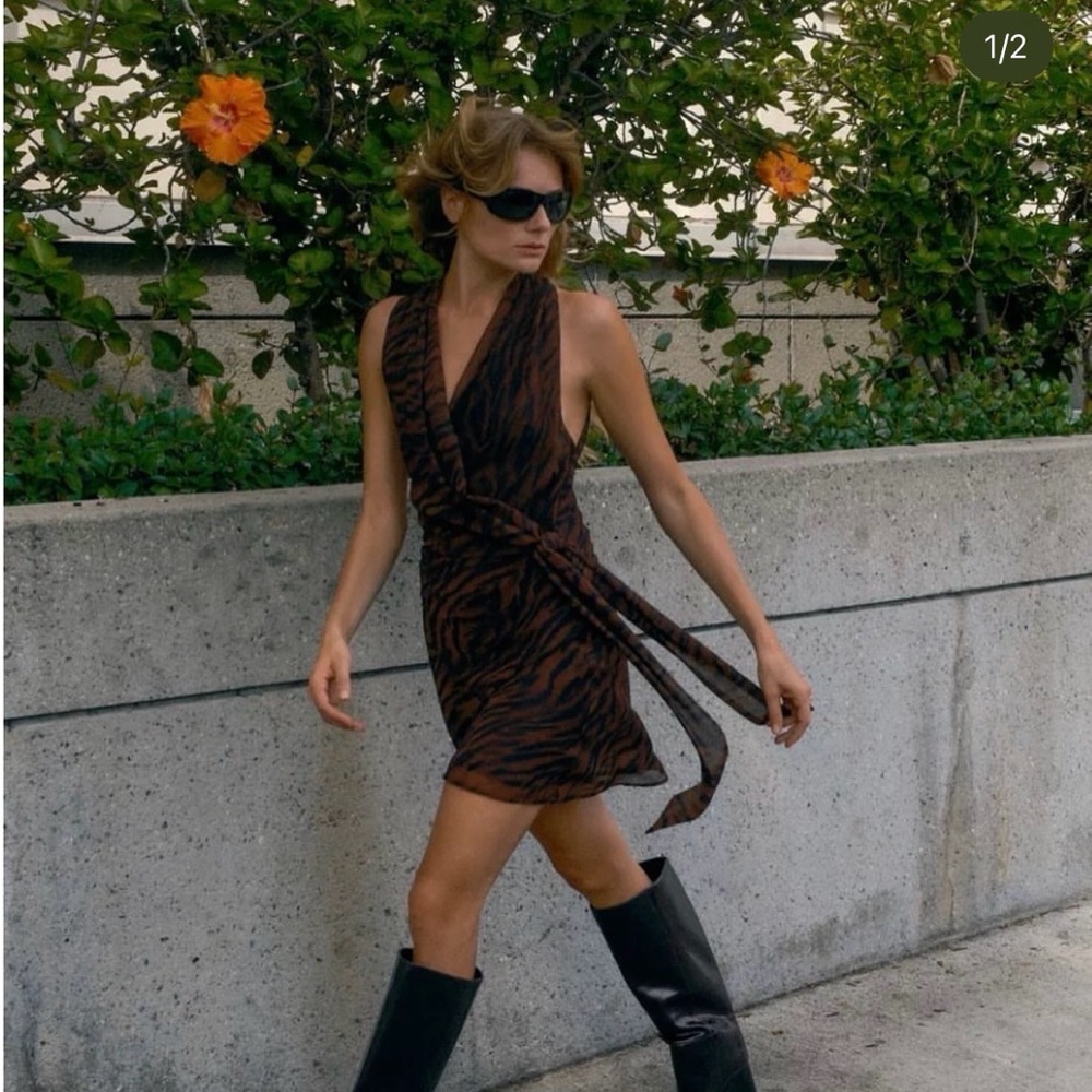 Zara Brown Animal Print Mini Dress